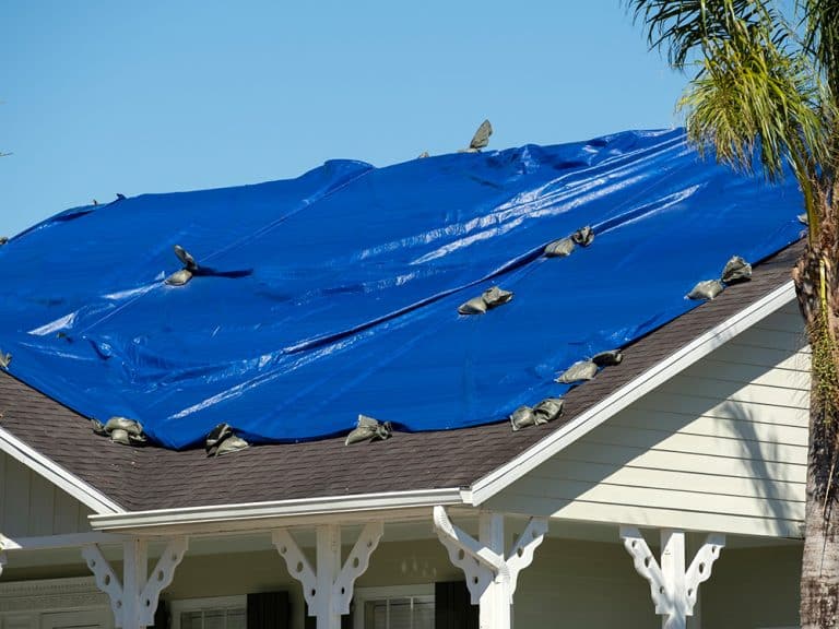 Storm Shield Services in Florida | Ready Nation Contractors