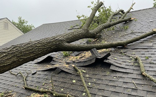 Tree limb resting on a rooftop with visible dents and broken shingles