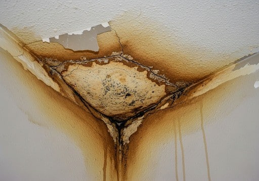 moisture-damaged ceiling corner with water stains and mold, prompting the need for mold remediation in Tampa