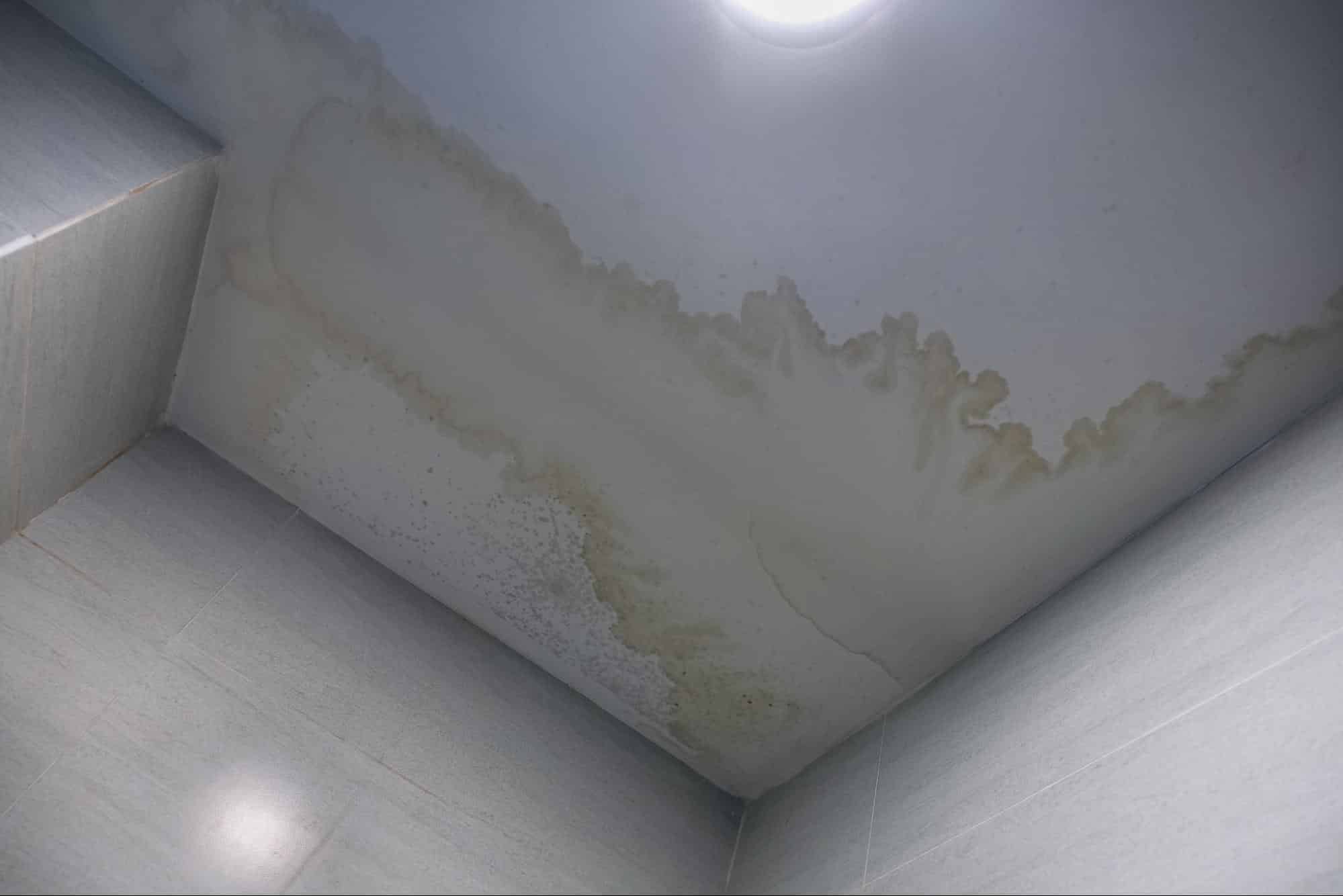 water stain on ceiling
