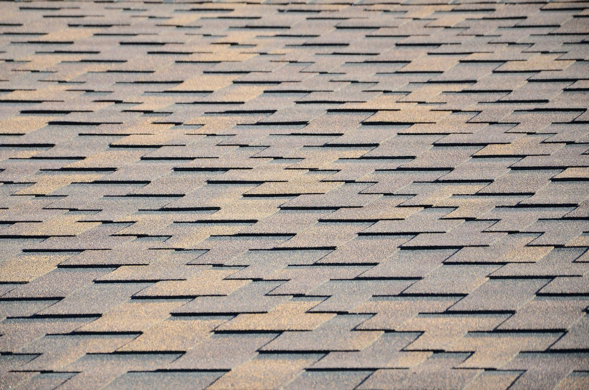 shingle roof