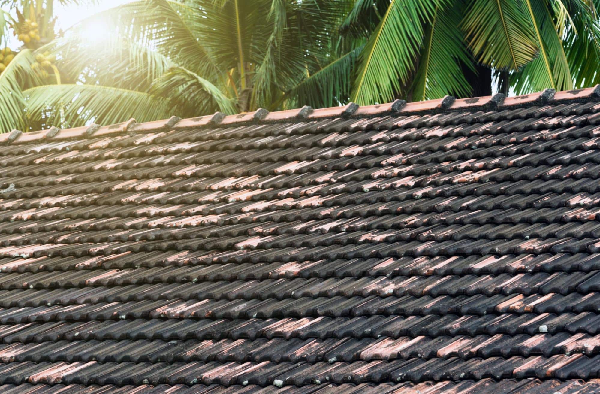 tile roof