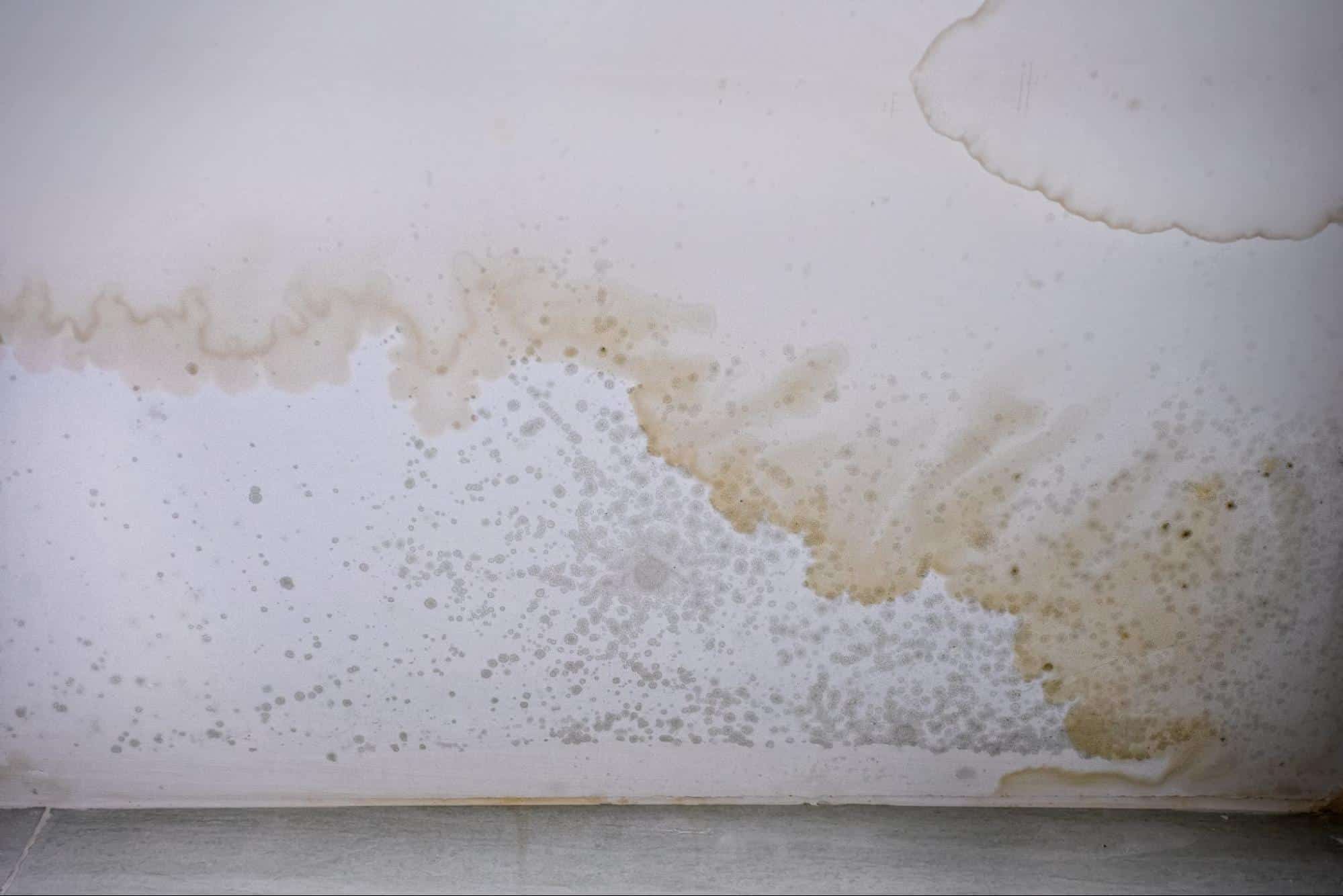 water stains on ceiling, prompting expert roofer services